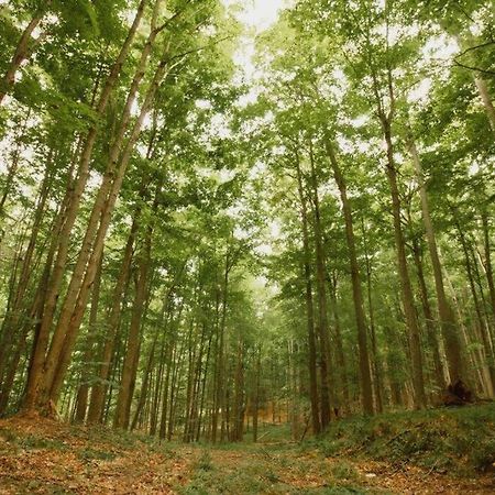 Reed CityWilderness Vista Retreat别墅 外观 照片