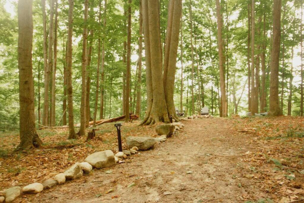 Reed CityWilderness Vista Retreat别墅 外观 照片
